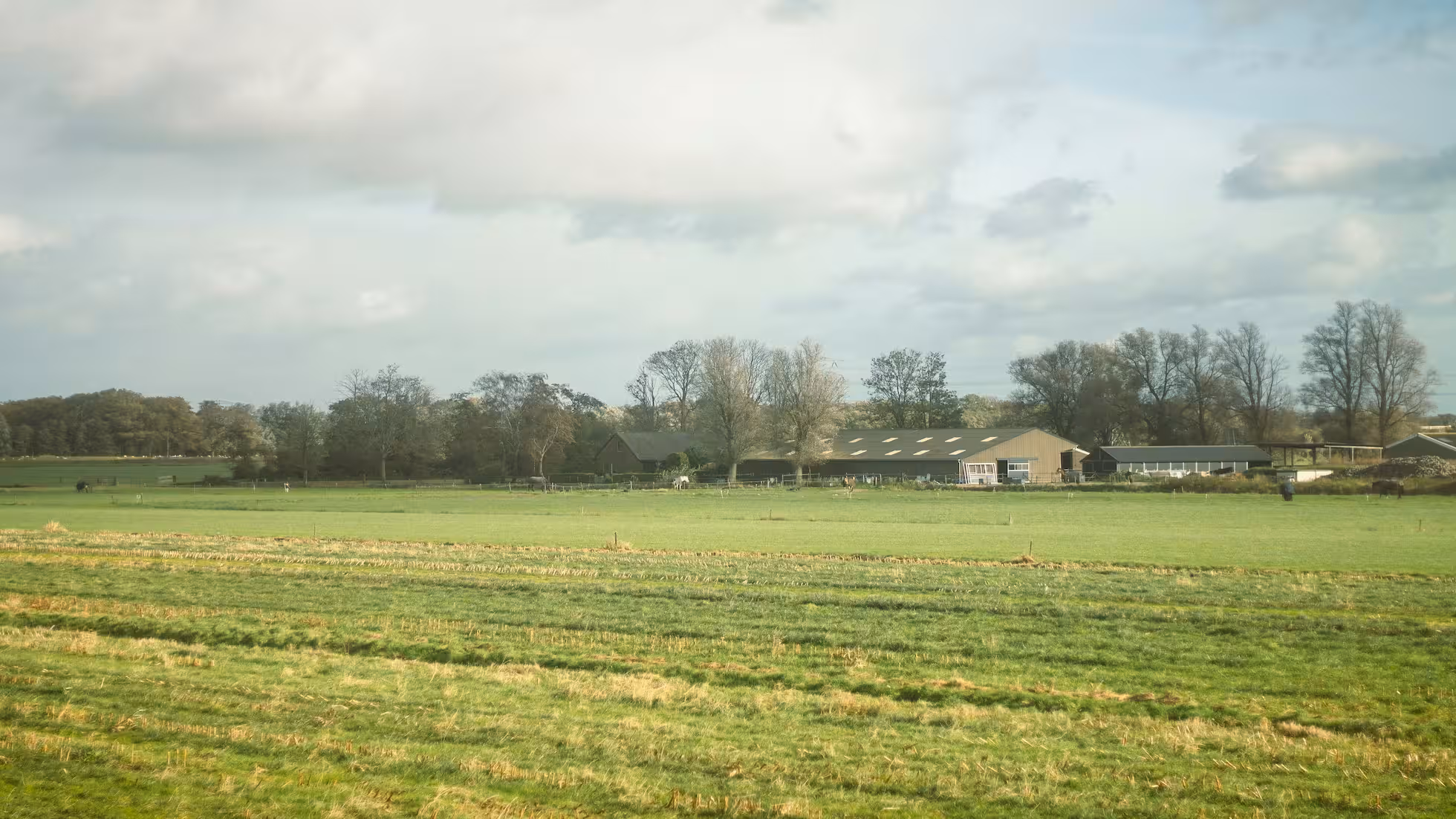 云合-浙江省农业农村厅关于推进农村闲置住宅盘活利用的意见
