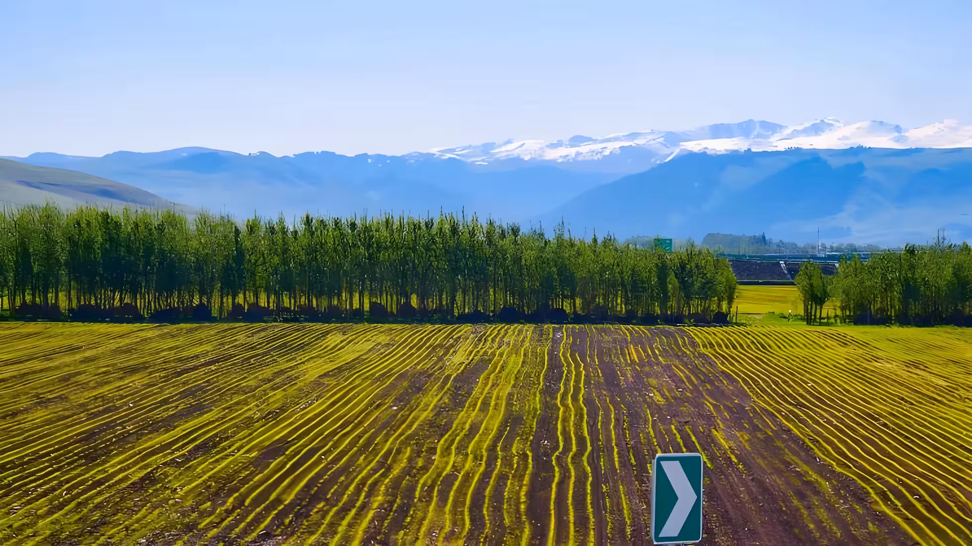 推动南疆现代设施农业高质量发展工作方案