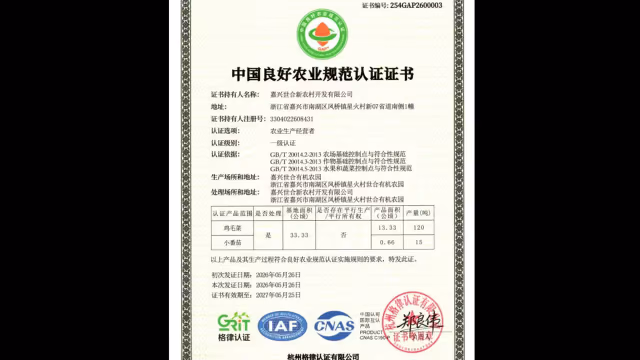 Rumah hijau tomato ceri Shihe Organic Farm di Jiaxing dengan sokongan pertanian digital China GAP Tahap 1