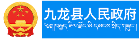 customer-3