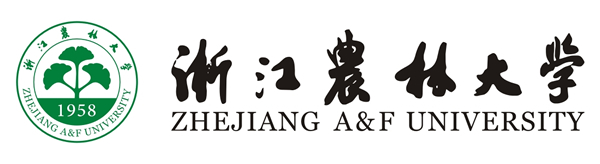 customer-4